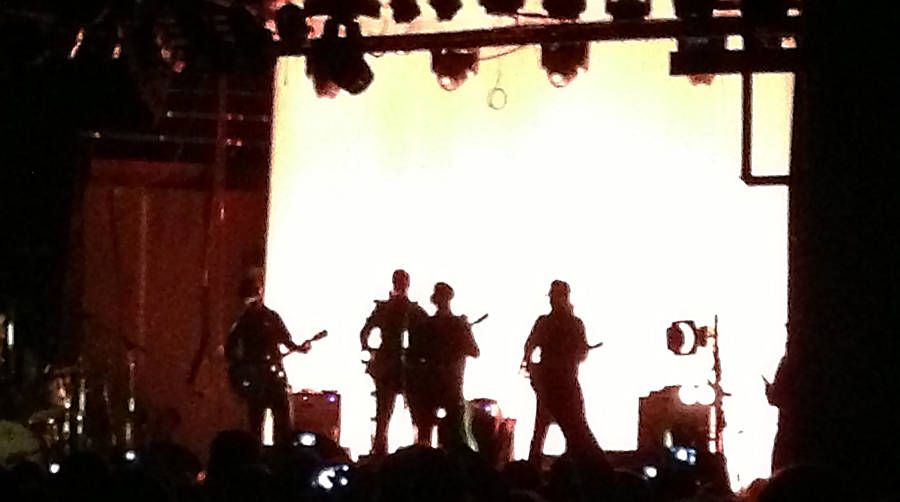 eels03