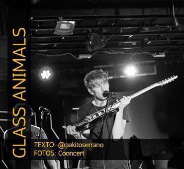 GLASS ANIMALS