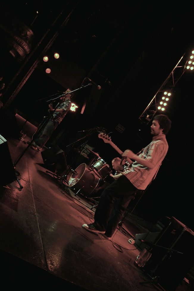 wave pictures 01 pop rock indie conciertos