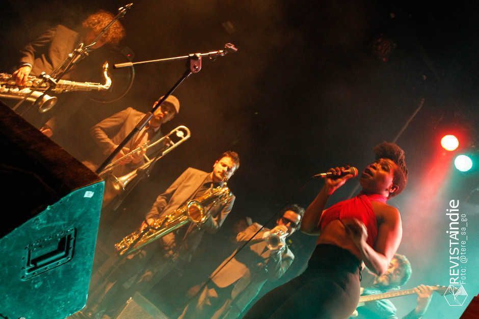 freedonia 04 pop rock indie conciertos