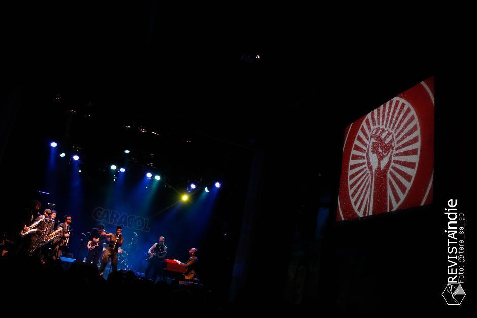 freedonia 11 pop rock indie conciertos