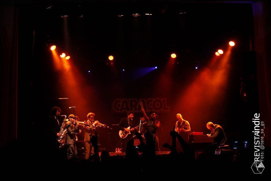 freedonia 12 pop rock indie conciertos