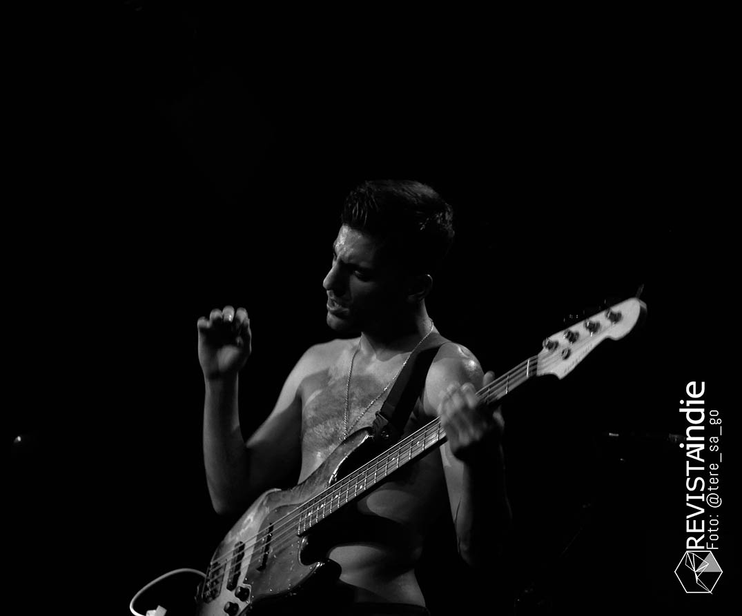 sexy zebras 07 pop rock indie conciertos