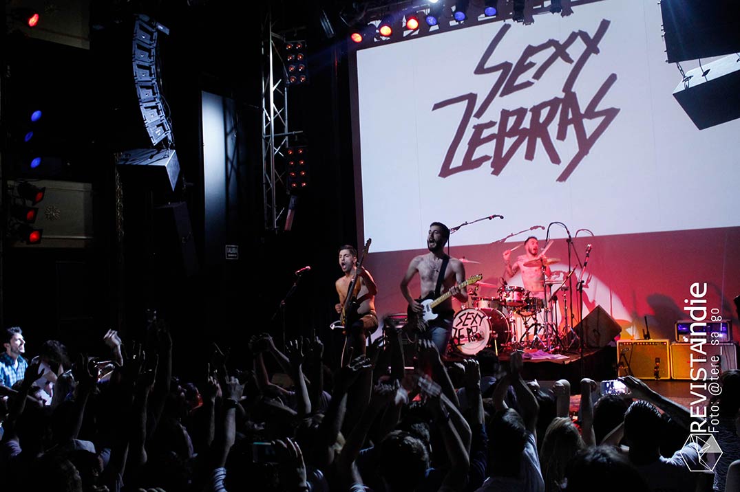 sexy zebras 10 pop rock indie conciertos