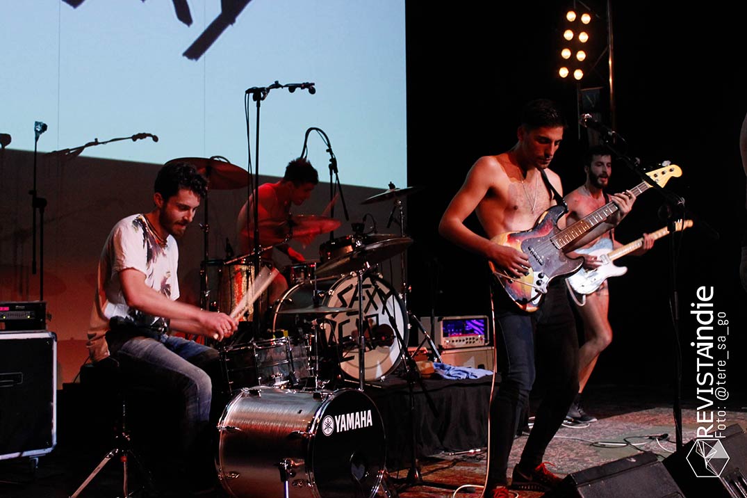 sexy zebras 12 pop rock indie conciertos