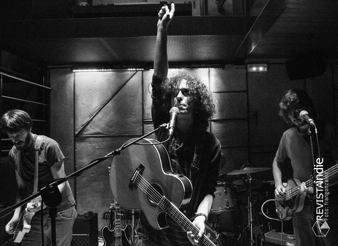 napoleon solo 12 pop rock indie conciertos