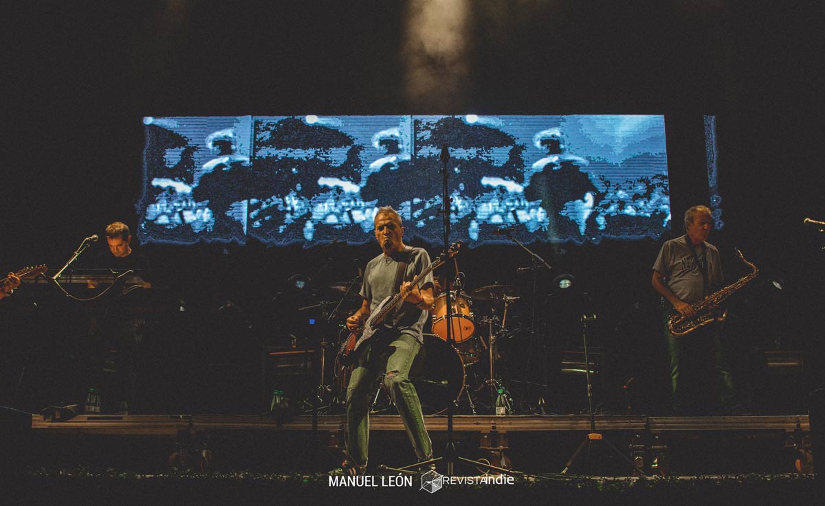 delicias 04 pop rock indie conciertos