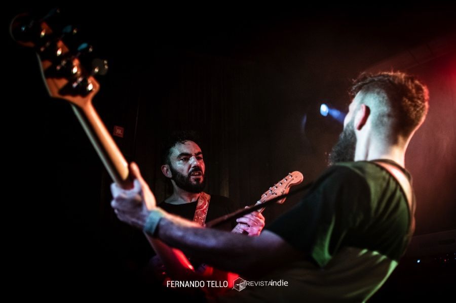 the niftys 02 pop rock indie concierto