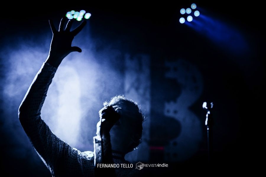 the niftys 05 pop rock indie concierto