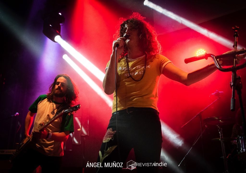 dmbk 03 pop rock indie conciertos