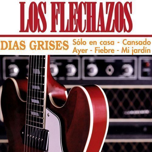 LOS FLECHAZOS dias grises