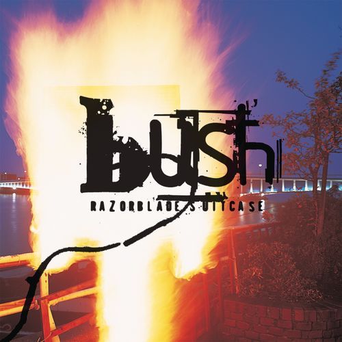 BUSH razorblade suitcase