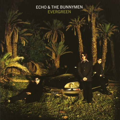 ECHO AND THE BUNNYMEN evergreen