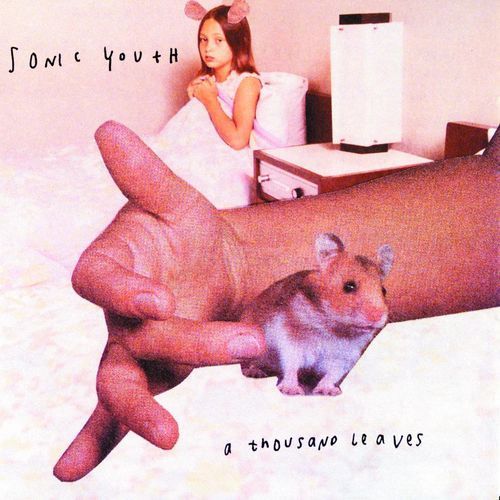 SONIC YOUTH a thousand leaves