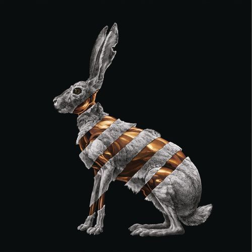 SAN FERMIN. jackrabbit