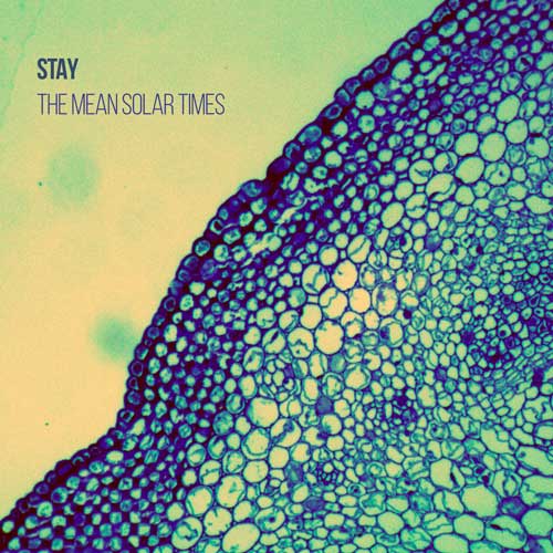 STAY. the mean solar times