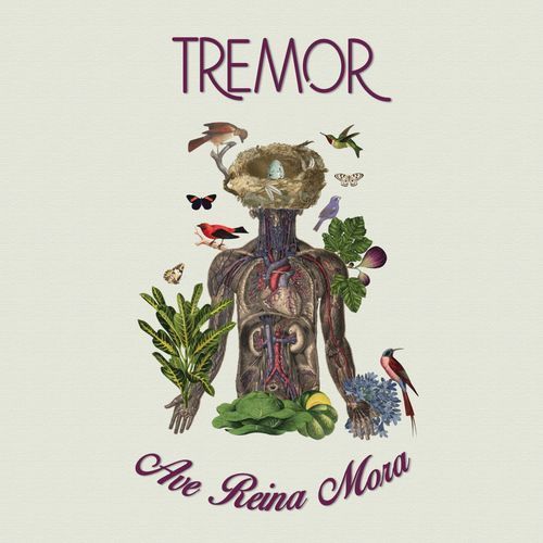 TREMOR ave reina mora